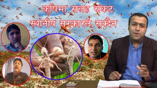 Janasawal ep - 57 || सलह किराको प्रकोप र समाधान ||