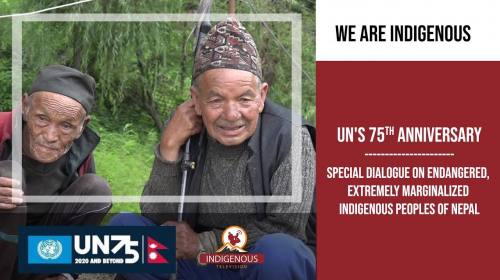 United Nations 75th anniversary || नेपालका लोपोन्म