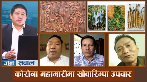 सोवारिग्पा जडिबुटी उपचार ||Effective Function Of Sowa Rigpa Medicine For Covid-19 |Jansawal Epi -231