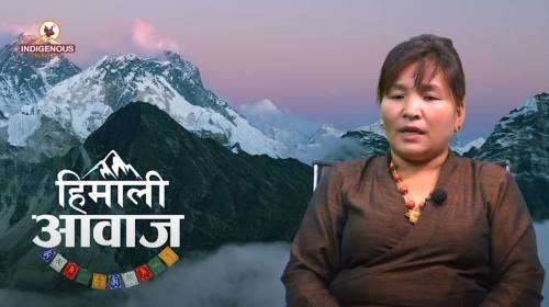 लन्जम शेर्पा_अध्यक्ष, नेपाल शेर्पा संघ, सिन्धुपाल्चोक हिमाली आवाज ||  Himalai Aawaz | Epi - 17
