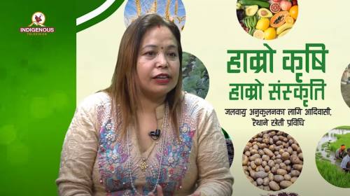 Krishi epi 29 || कृषि उद्यमी सीता थापा भट्टराई || With Dhan Bahadur Magar