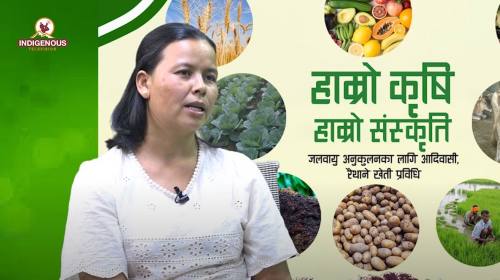 Krishi epi 41||डा.सुजता तामाङ_ कृषि तथा वातावरण विज्ञ ||