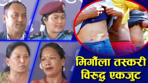 किन बेचिन्छन् मिर्गौला ?  Suryamaya Danuwar |  Dsp Anjana Shrestha |  Kirshnapyari |  Sanjaya Tamang