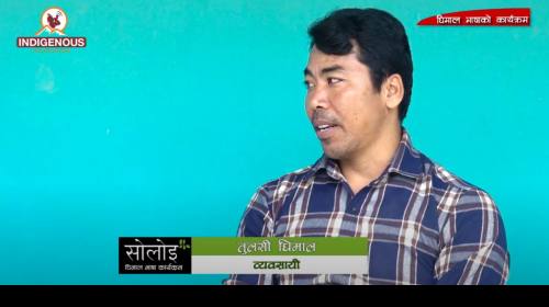 नेपाली गलैचा उत्पादक तथा ब्यवसायी Tulasi Dhimal II