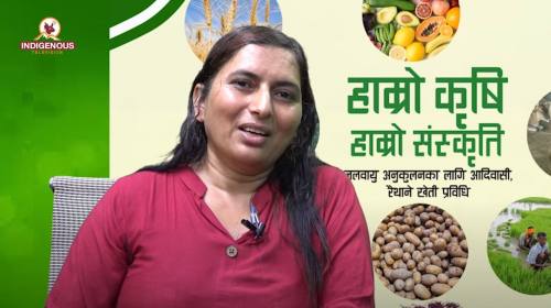 Krishi epi 48 || Huma Neupane || Institute of Agriculture and Animal Science