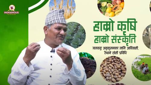 Krishi epi 59 ||प्रेमनारायण अधिकारी _ उप महासचिव, अखिल नेपाल किसान महासंघ |