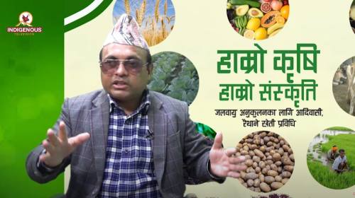 Krishi epi 67 ||अर्जुन कार्की_ संयोजक, अखिल नेपाल किसान युनियन ||