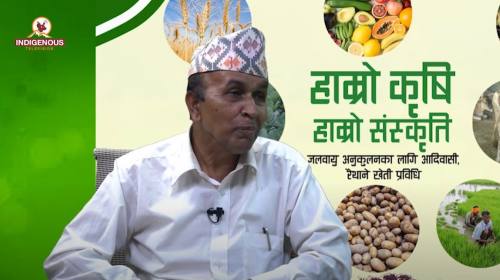 Krishi epi 69 ||इश्वरी प्रसाद शर्मा _ सदस्य, अखिल नेपाल किसान महासंघ, बागमती प्रदेश ||