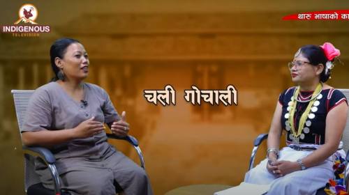 थारू समाजले एकल महिलालाई हेर्ने नजर बदल्दैछ: Sanu 