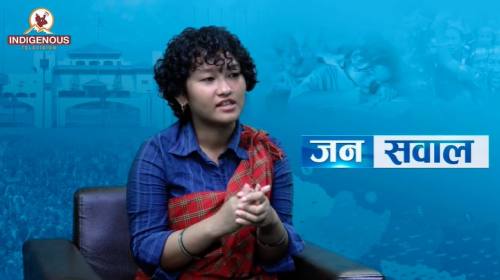 Nepo Baby ले हामीलाई आन्दोलित बनायो, Gen-Z Collect