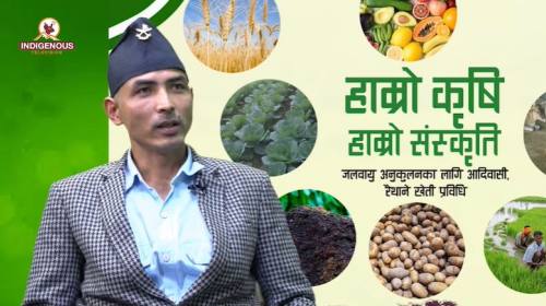 Krishi epi 95 ||विदेश पलायन रोकन कृषिमै जोड दिनुपर