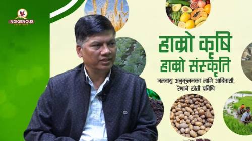 Krishi epi 97 || डा. हिमलाल श्रेष्ठसहप्राध्यापक_ क