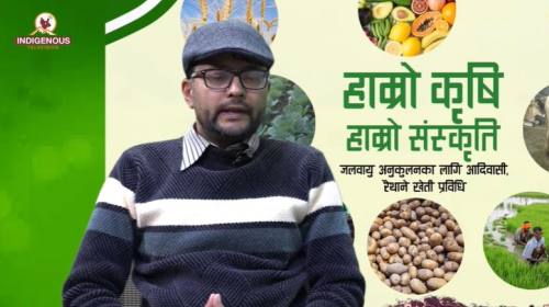 Krishi epi 98 दिगो कृषिलाई जोड दिनुपर्छ केदार कोइर