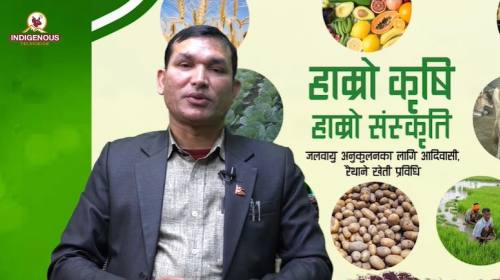 Krishi epi 99 निर्दोष तिमल्सिना_ संयोजक, युवा किसा