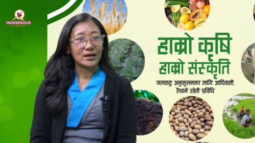 Krishi epi 100 ||पर्माकल्चर भनेकै दिगो कृषि हो ||