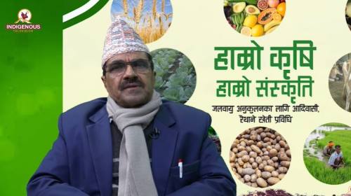 Krishi epi 102 ||नेपालमा उत्पादन भएको कफिले नेपाली