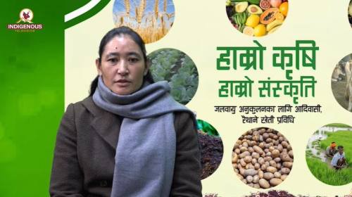 Krishi epi 104 ||दयालक्ष्मी श्रेष्ठ_कोषाध्यक्ष, अख