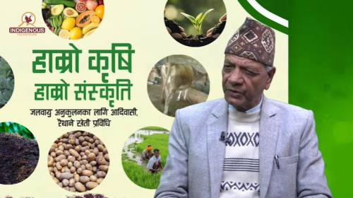 Krishi epi 105 ||छविलाल पौडेल_ कृषि अनुसन्धान परिष