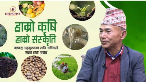 Krishi epi 106 ||बलराम बाँस्कोटा_ पूर्व राष्ट्रिय,