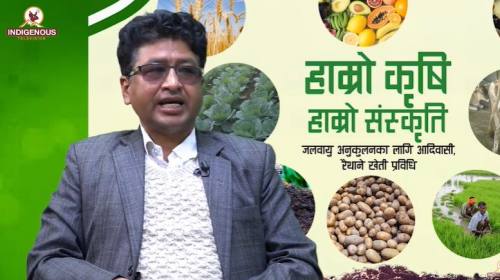 Krishi epi 107 बुद्ध वस्नेत_इन्चार्ज, लुम्बिनी प्र