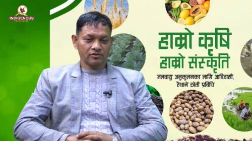 Krishi epi 109 राजकुमार सुवेदी_अध्यक्ष, पन्छी पालक