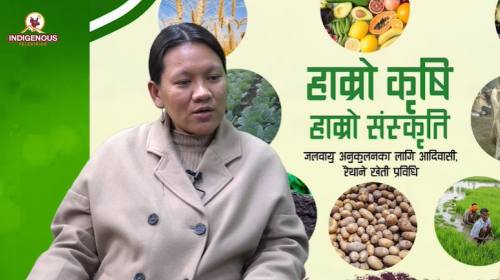 Krishi epi 110 शर्मिला पुन_साद्य प्रणाली विशेषज्ञ