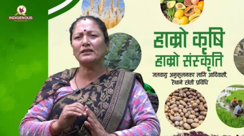 Krishi epi 116 || शान्ता कार्की_कृषि ब्यवसायीअनुदा