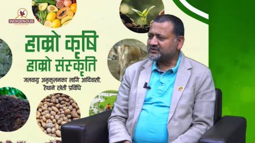 Krishi epi 117 || रमेश तुफान _संयोजक, उत्पादन महाअ