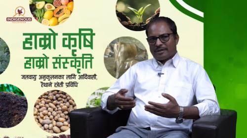 Krishi epi 119 || मुत्तिनाथ दासअध्यक्ष_अखिल नेपाल 
