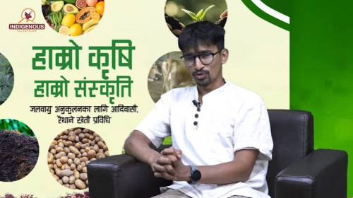 Krishi epi 120 || दिपेश नेपाल_कृषि अभियानकर्मी ||