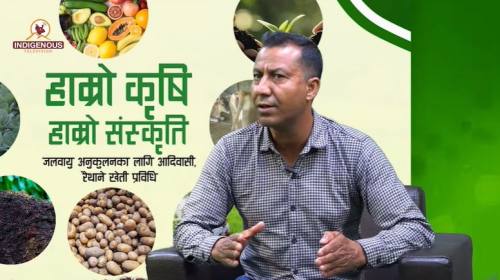 Krishi epi 123 ||जनक कार्की_प्रादेशिक निर्देशक, सा