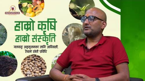 Krishi epi 124 सुरेश कुमार यादव_सह सम्पादक, गोरखाप