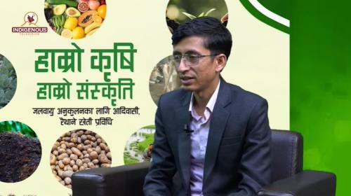 Krishi epi 125 || आकाशदीप मैनाली_ कृषि विद्यार्थी