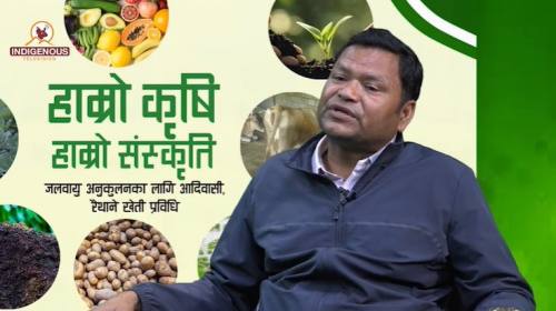 Krishi epi 127 अमर परियार_अध्यक्ष, अखिल सुकुम्वासी