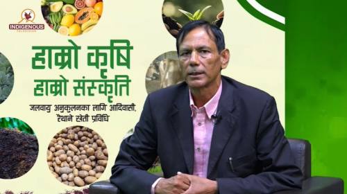 Krishi Epi 128 ||खेम पाठक_अध्यक्ष, नेपाल केन्द्रीय