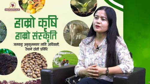 Krishi Epi 129 || करिष्मा गुरुङ_ संयोजक, पैरवी तथा