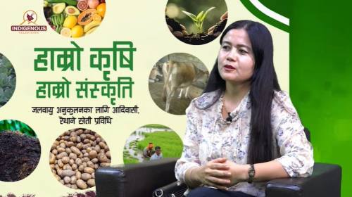 Krishi Epi 132 || डा.कृष्ण प्रसाद पौडेल_कृषि विज्ञ