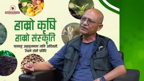 Krishi Epi 132 || जैविक कृषि तर्फ लाग्नु जरुरी छ ड