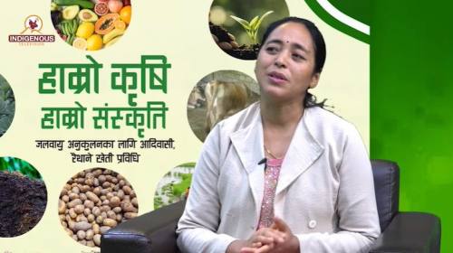 Krishi Epi 135_पार्वता गौतम महासचिव, सामूदायिक वन 