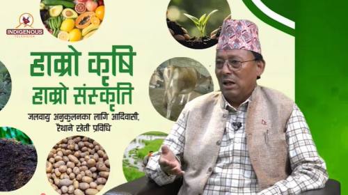 Krishi Epi 136 _खड्ग सिजवाल_ उपाध्यक्ष, नेपाल किसा