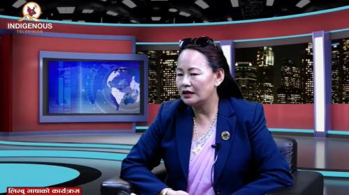 निर्मला तावा लिम्बूसंग भाषा, संस्कृति र अधिकारबारे