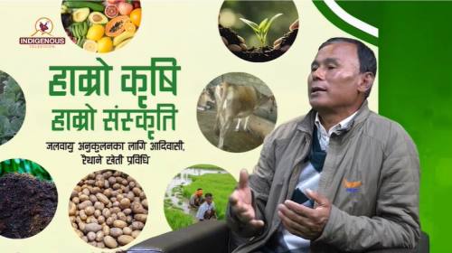 Krishi Epi 137 | पुरुषोत्तम चकोटी_ परम्परागत खेती 