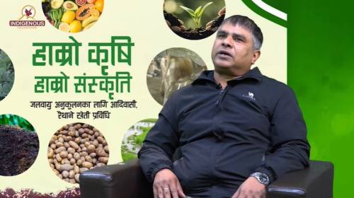 Krishi Epi 138 _डा. ईस्वर सुवेदी_वरिष्ठ खाद्य अनुस