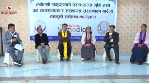 आदिवासी ह्योल्मोको Customary Institution ‘Hyulthim