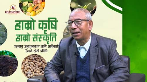 रेशम खेतीबाट नेपालको किसानलाई मात्र नभई अर्थतन्त्र