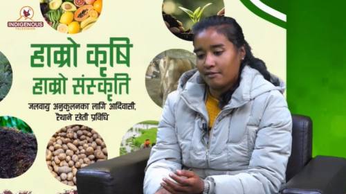 कृषिमा युवा सहभागीता जरुरी छ | सुनयना रोकाय_शिक्षि