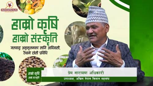 प्रेम नारायण अधिकारी_ उपाध्यक्ष, अखिल नेपाल किसान 