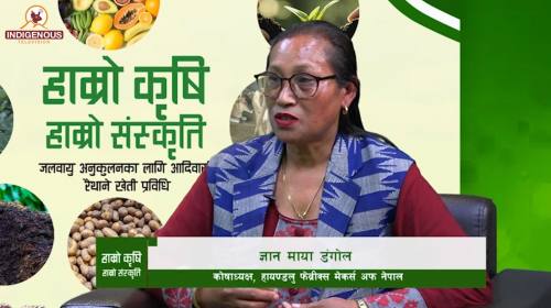 ज्ञान माया डंगोल_ कोषाध्यक्ष, हायण्डलु फेव्रीक्स म