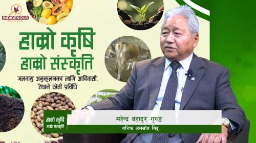 महेन्द्र बहादुर गुरुङ _वरिष्ठ जलस्रोत विद् | Krish