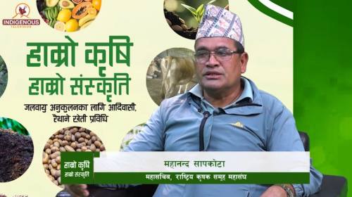 महानन्द सापकोटा_महासचिव_राष्ट्रिय कृषक समूह महासंघ